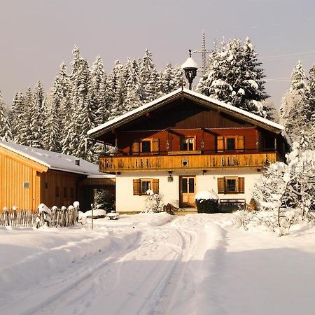 Going Artenreich Going am Wilden Kaiser Экстерьер фото
